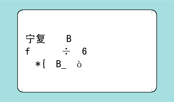 宁夏理工学院能升为公办吗？