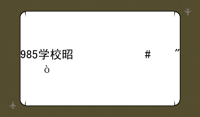 985学校是什么级别？