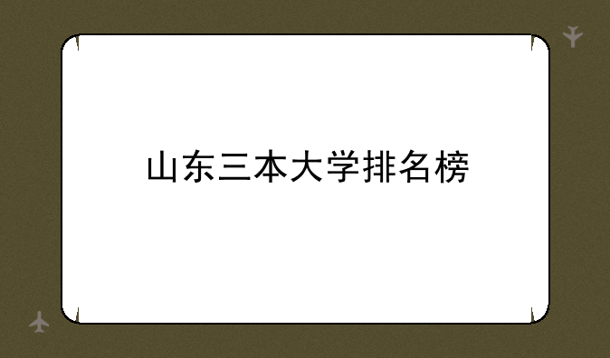 山东三本大学排名榜