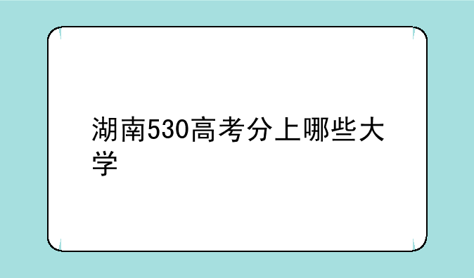 湖南530高考分上哪些大学