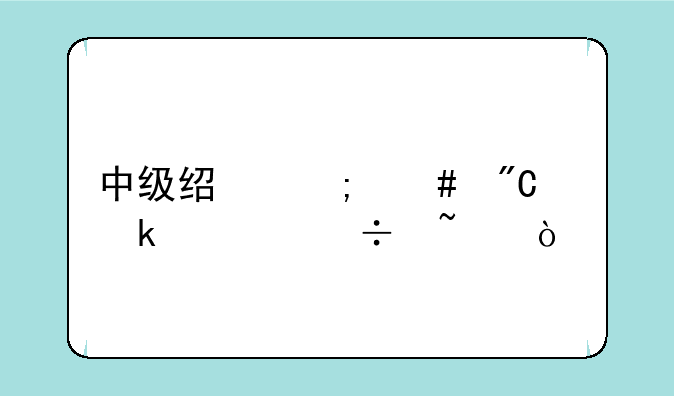 中级经济师成绩多久能查？