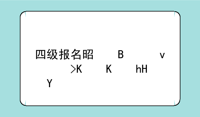 四级报名是否借考什么意思