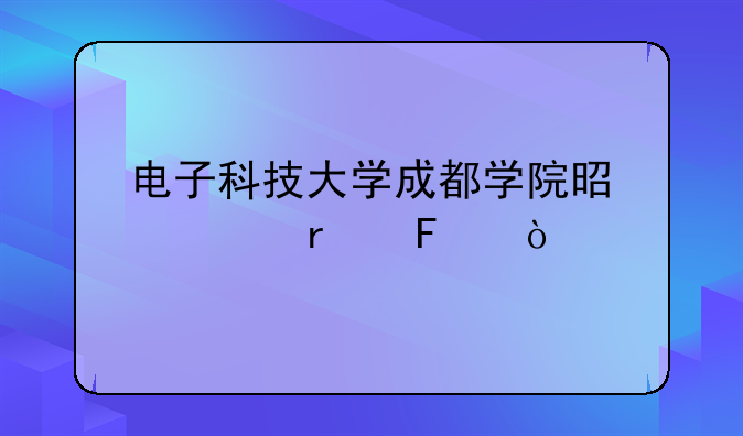 电子科技大学成都学院是几本呢？