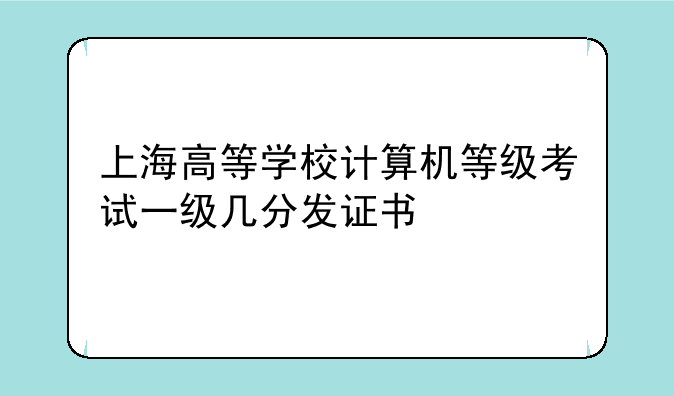 上海高等学校计算机等级考试一级几分发证书