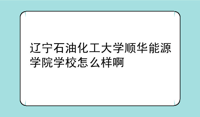辽宁石油化工大学顺华能源学院学校怎么样啊