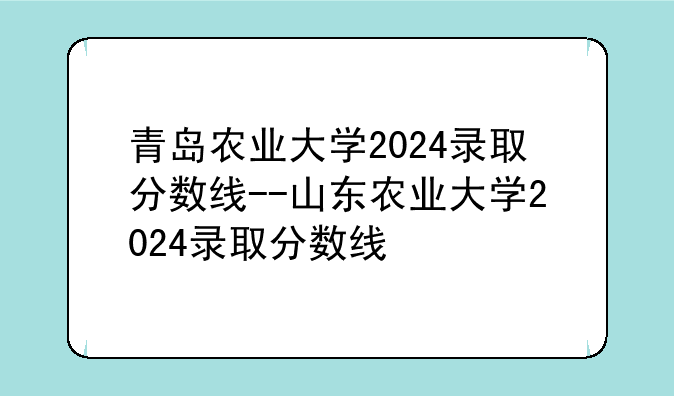 青岛农业大学2024录取分数线--山东农业大学2024录取分数线